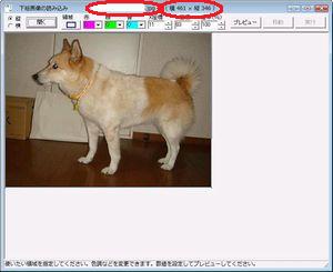 ���G����荞�񂾂Ƃ��� �̉��