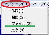 �I�v�V�����i�X�j�̉��